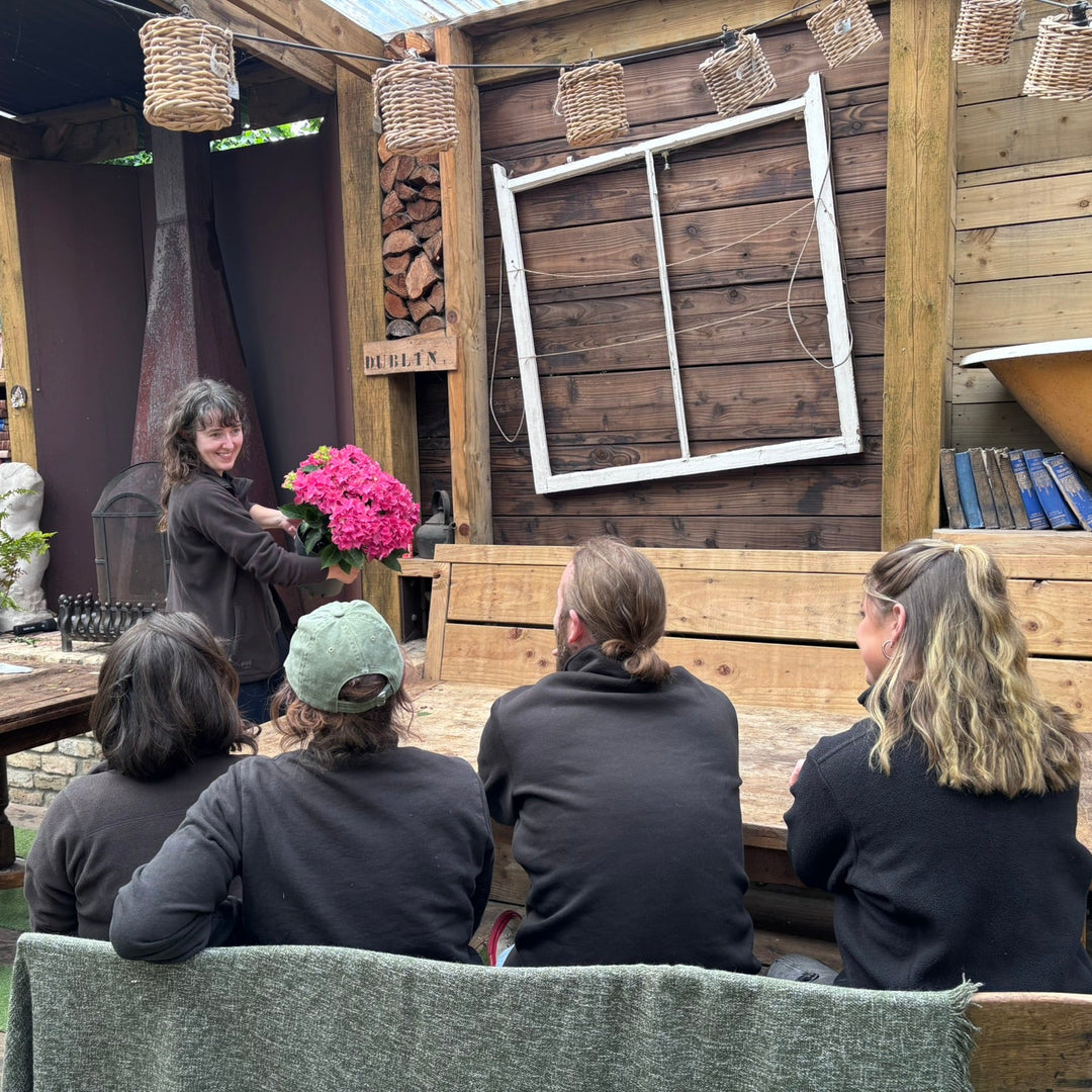 Windyridge Gardening for Beginners 2026 Sunday Morning 10am (6 Week Course starts 13th September 2026)