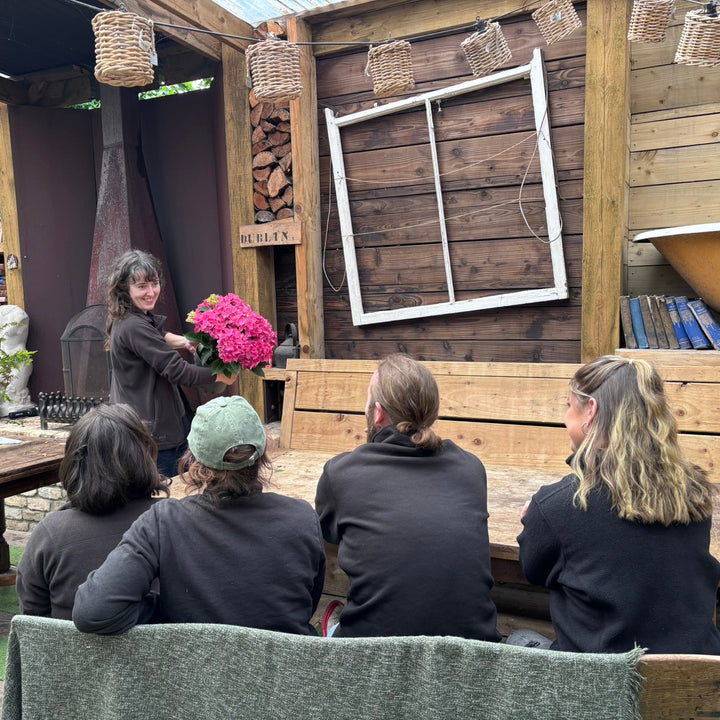 Windyridge Gardening for Beginners 2026 Sunday Morning 10am (6 Week Course starts 13th September 2026)
