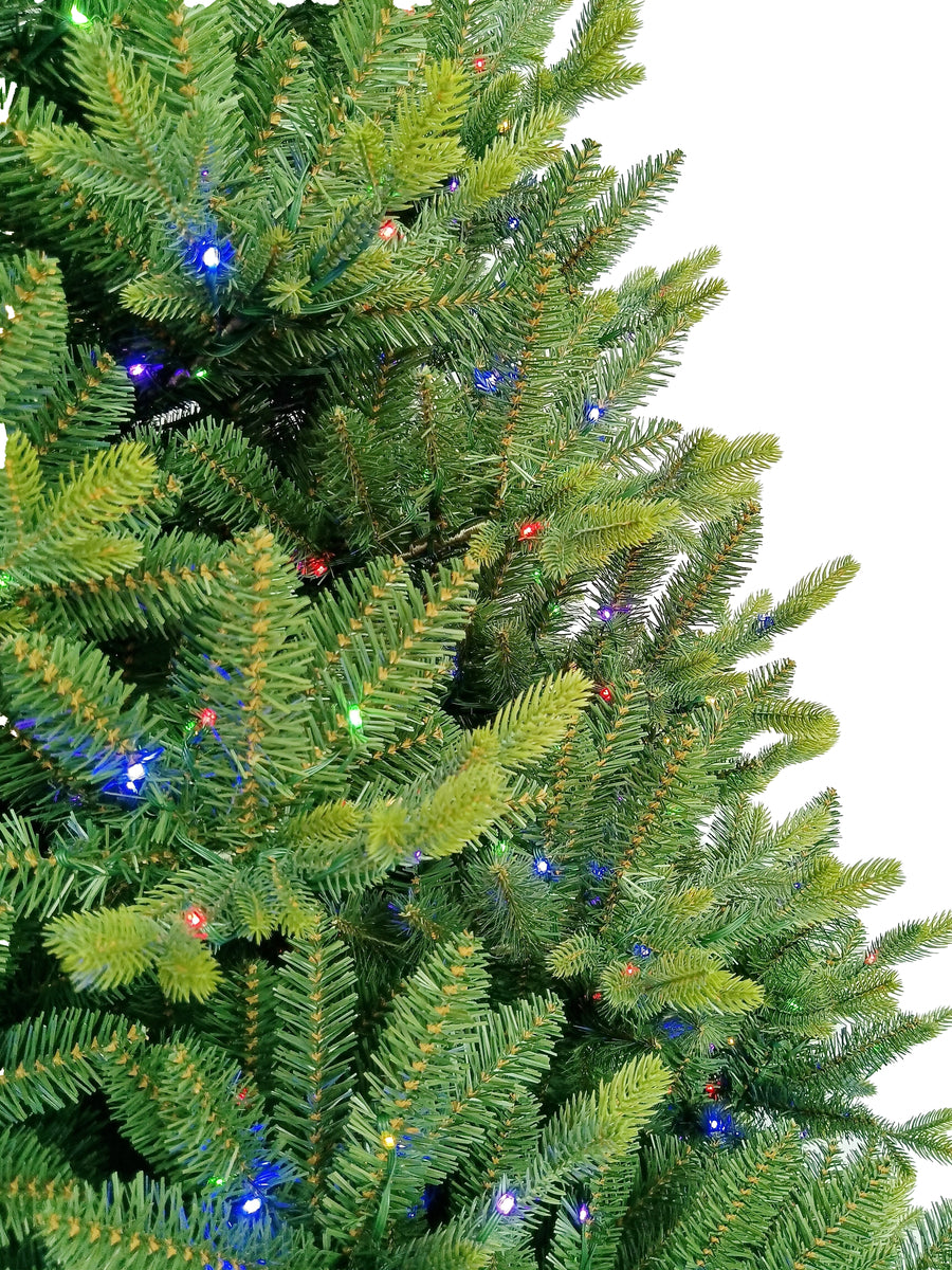 MONTPELLIER FIR - 10ft Tree with 1250 Warm White LED 5mm bulbs and NEW 8 Function