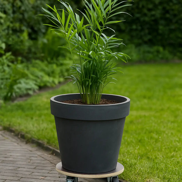 Trolley FF Plywood Round outdoor