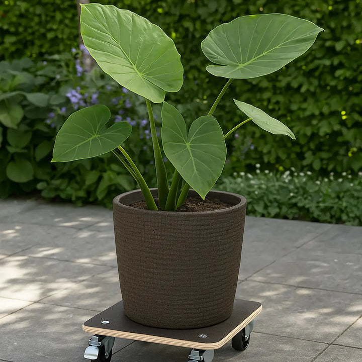 Trolley FF Plywood Square Outdoor
