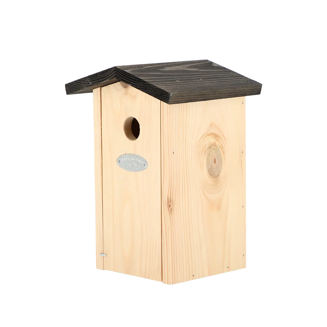 Birdhouse blue tit