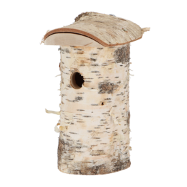 Bird house birch