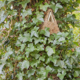 Camouflage nesting box
