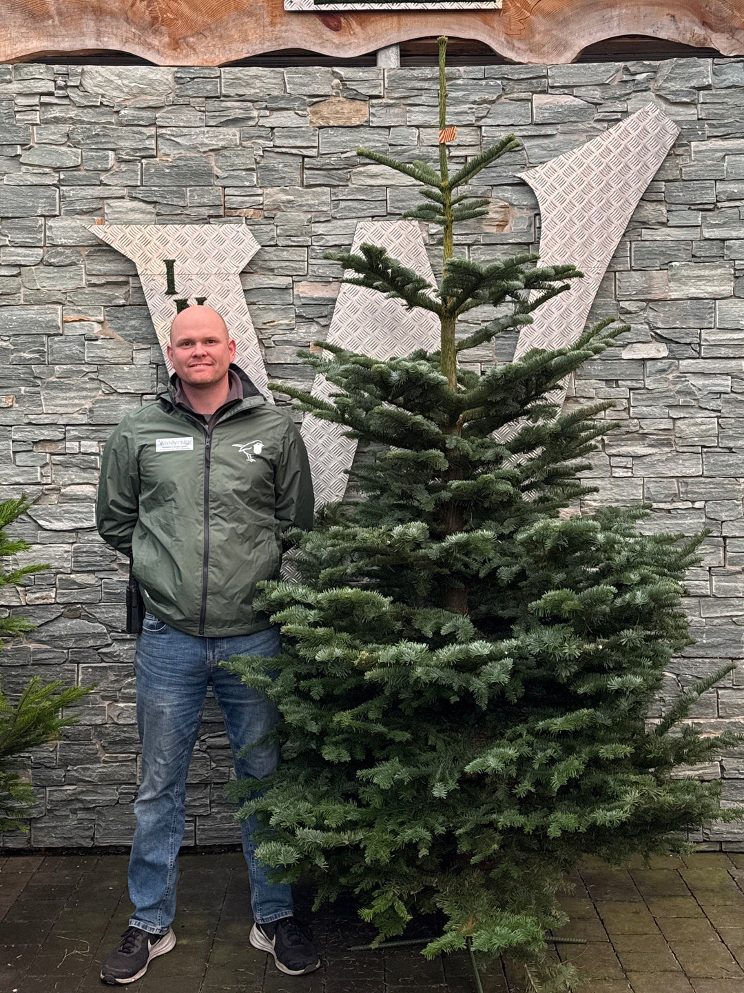 Noblis fir 8ft Christmas tree