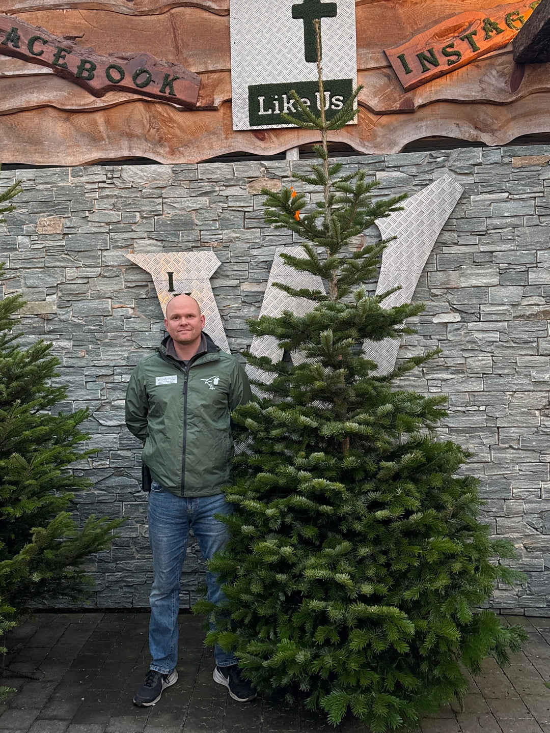 Norman Christmas tree for sale windyridge