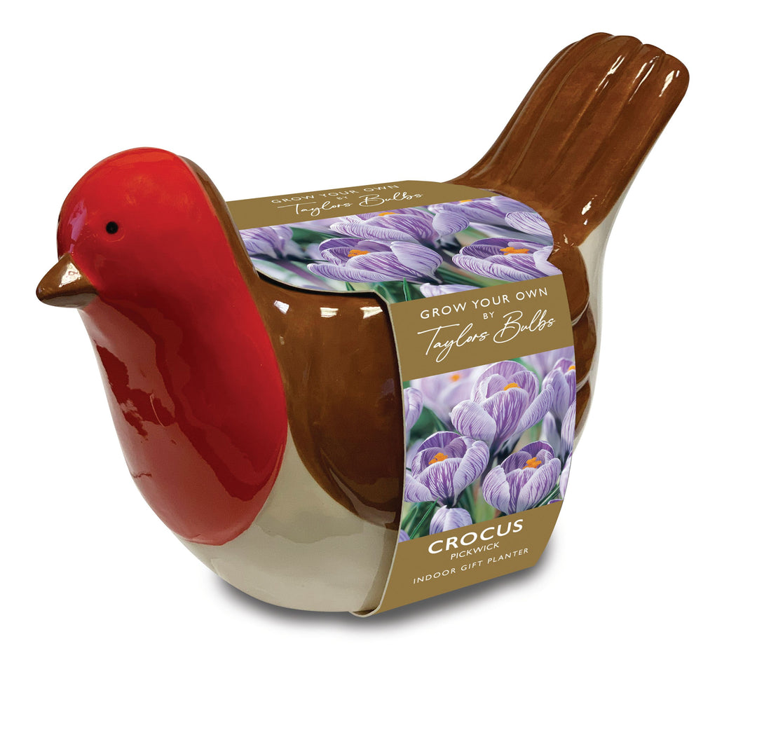 NOVELTY ROBIN PLANTER 3