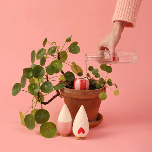 Trio Of Mini Ollas - The Lovers - Tools & Equipment - Windyridge Garden Centre