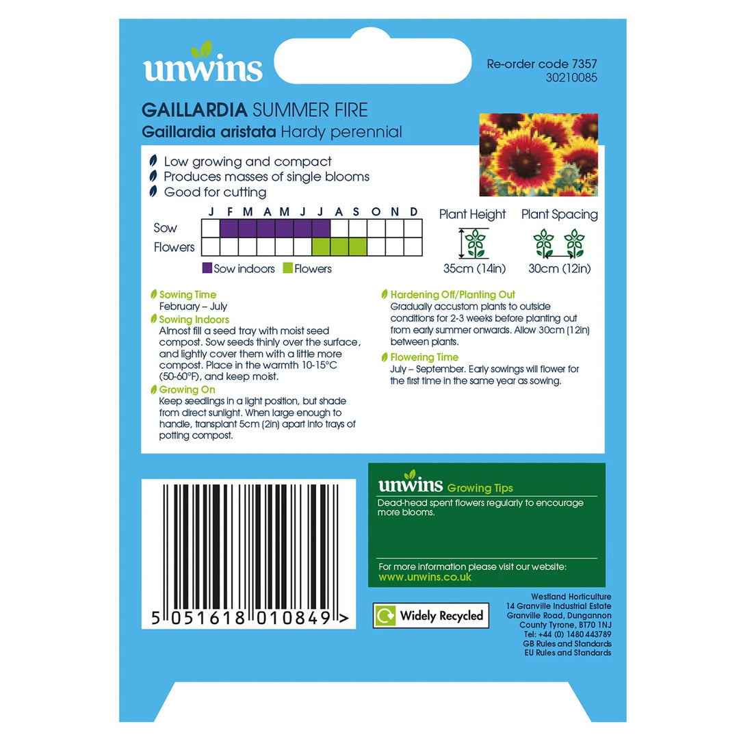 Gaillardia Summer Fire - Seed Packets - Windyridge Garden Centre