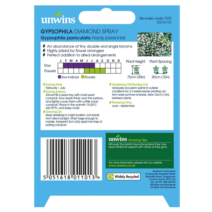 Gypsophila Diamond Spray - Seed Packets - Windyridge Garden Centre