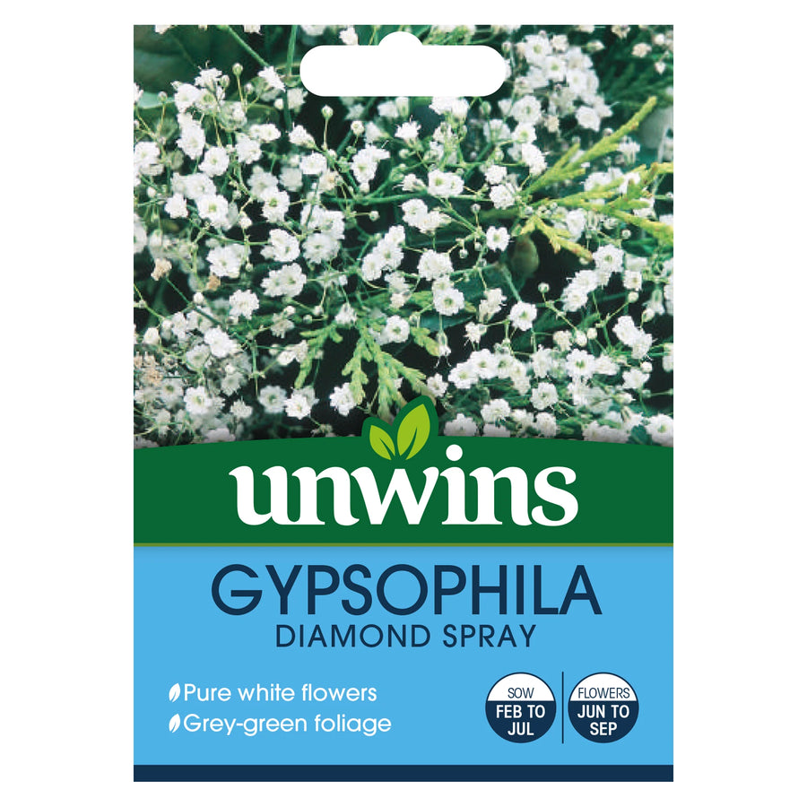 Gypsophila Diamond Spray - Seed Packets - Windyridge Garden Centre