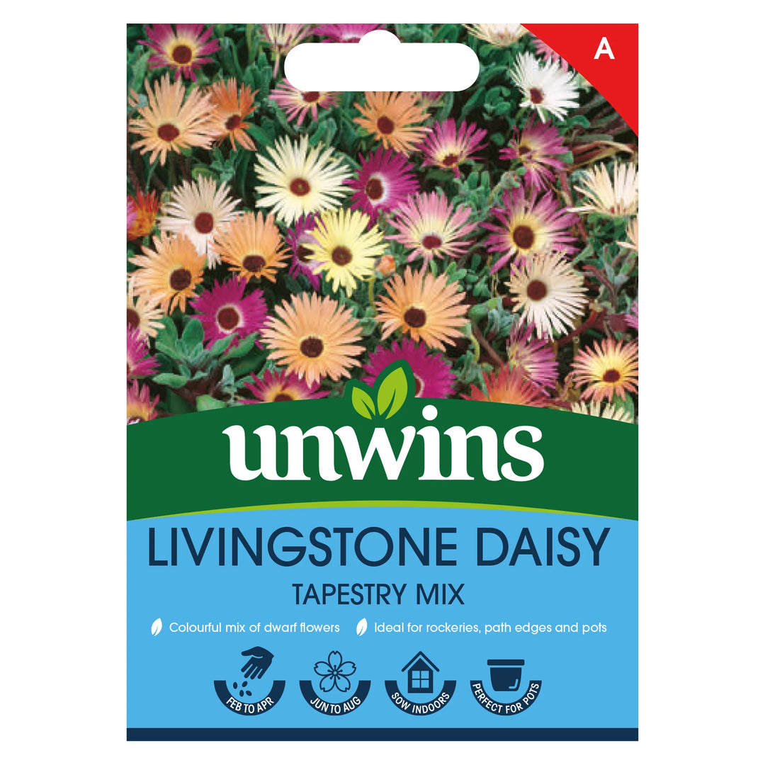 Livingstone Daisy Tapestry Mix - Seed Packets - Windyridge Garden Centre