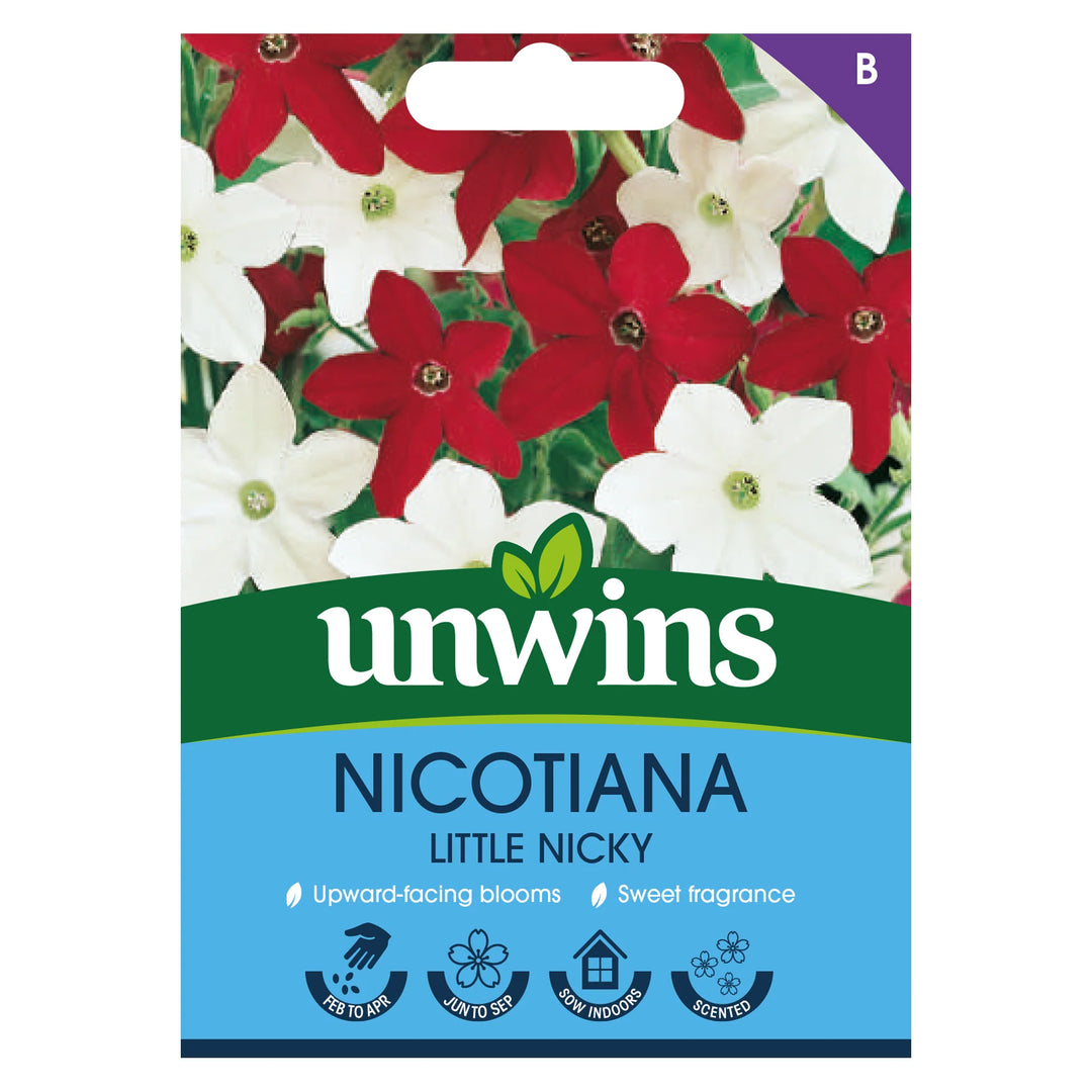 Nicotiana Little Nicky - Seed Packets - Windyridge Garden Centre