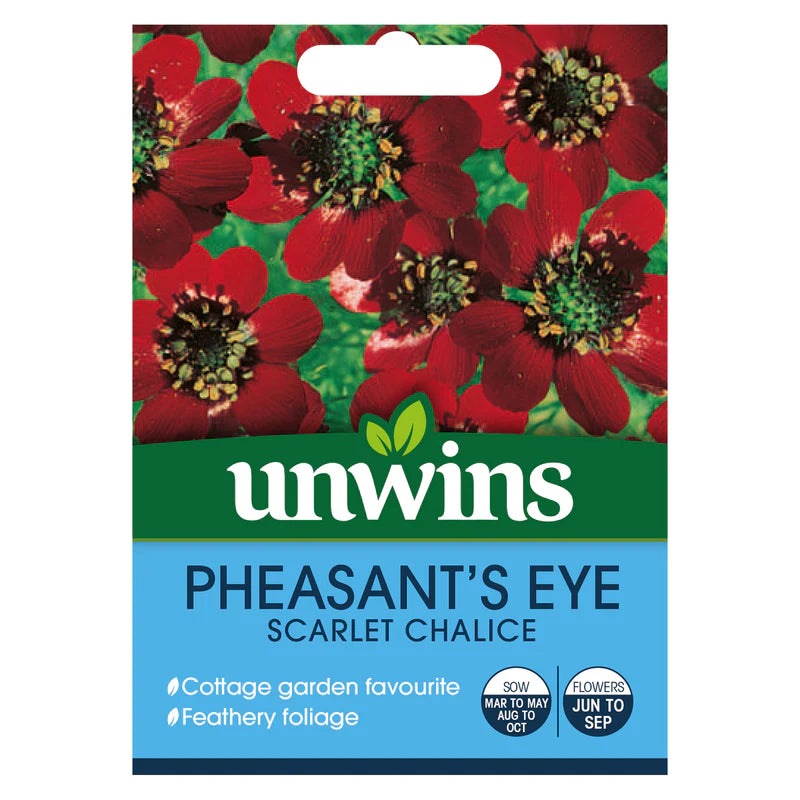 Pheasant S Eye Scarlet Chalice - Seed Packets - Windyridge Garden Centre