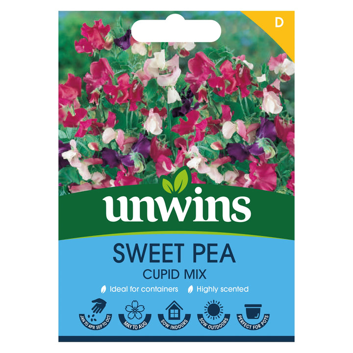 Sweet Pea Cupid Mix - Seed Packets - Windyridge Garden Centre