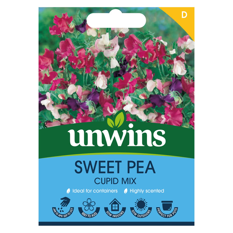 Sweet Pea Cupid Mix - Seed Packets - Windyridge Garden Centre