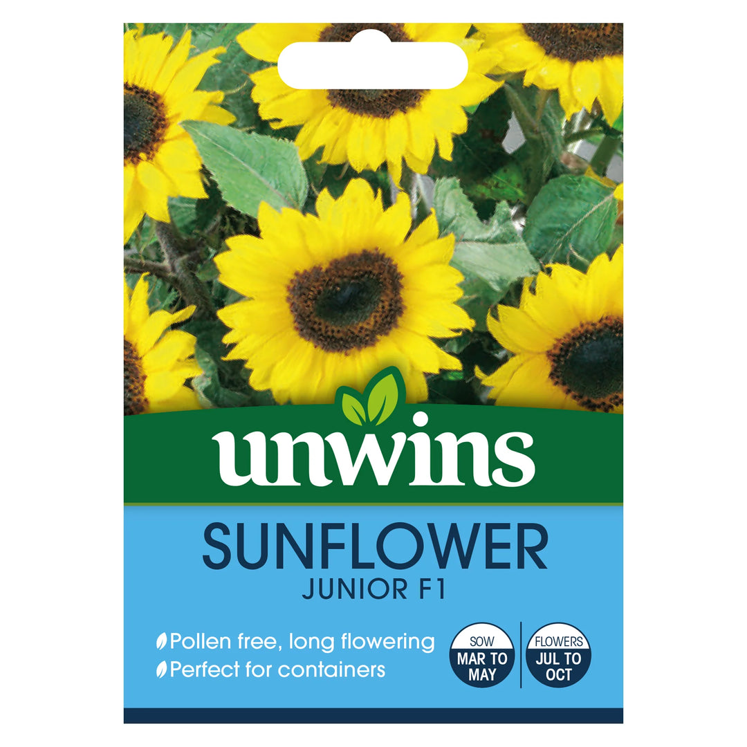 Sunflower Junior F1 - Seed Packets - Windyridge Garden Centre