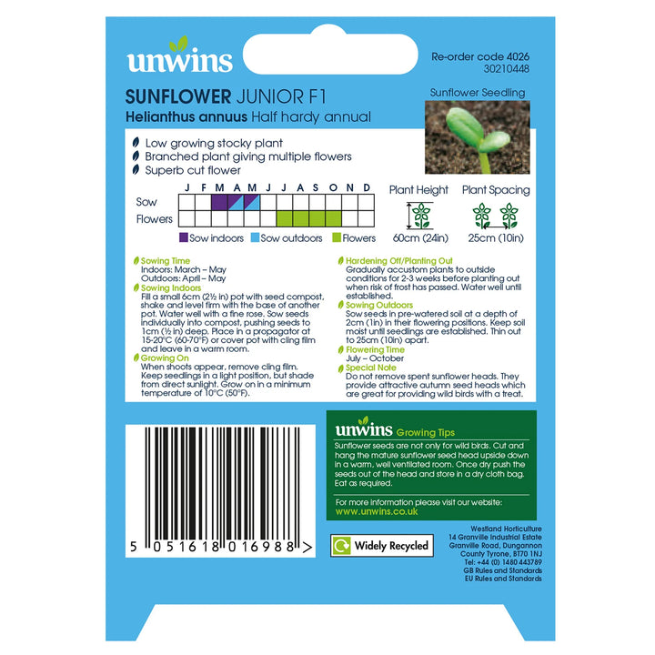 Sunflower Junior F1 - Seed Packets - Windyridge Garden Centre
