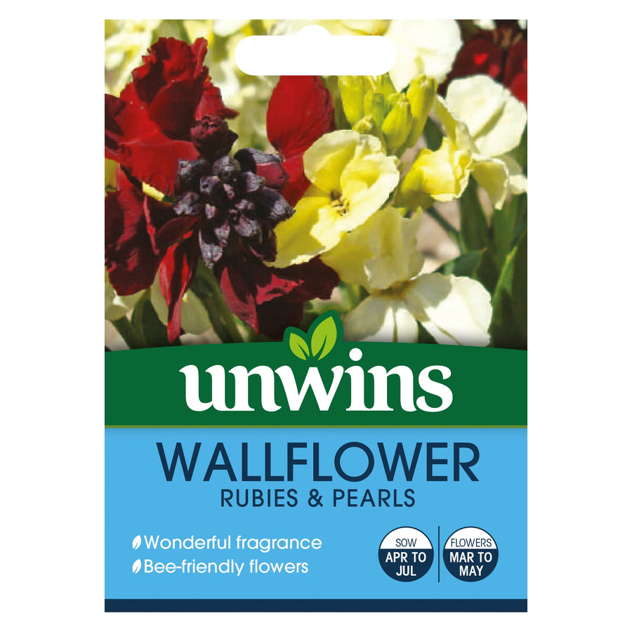 Wallflower Rubies & Pearls - Seed Packets - Windyridge Garden Centre