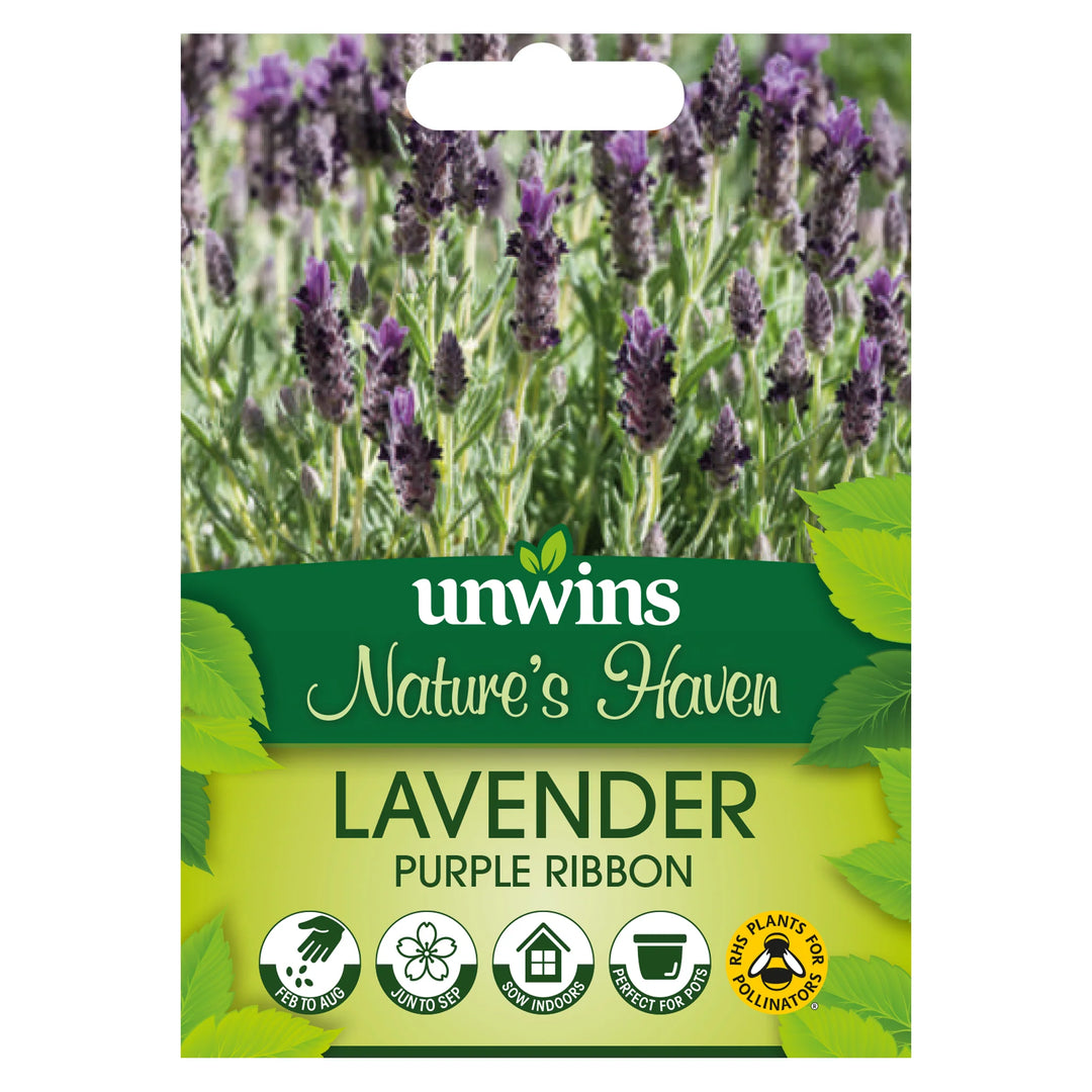 Nh Lavender Purple Ribbonflower - New 2023 - Seed Packets - Windyridge Garden Centre