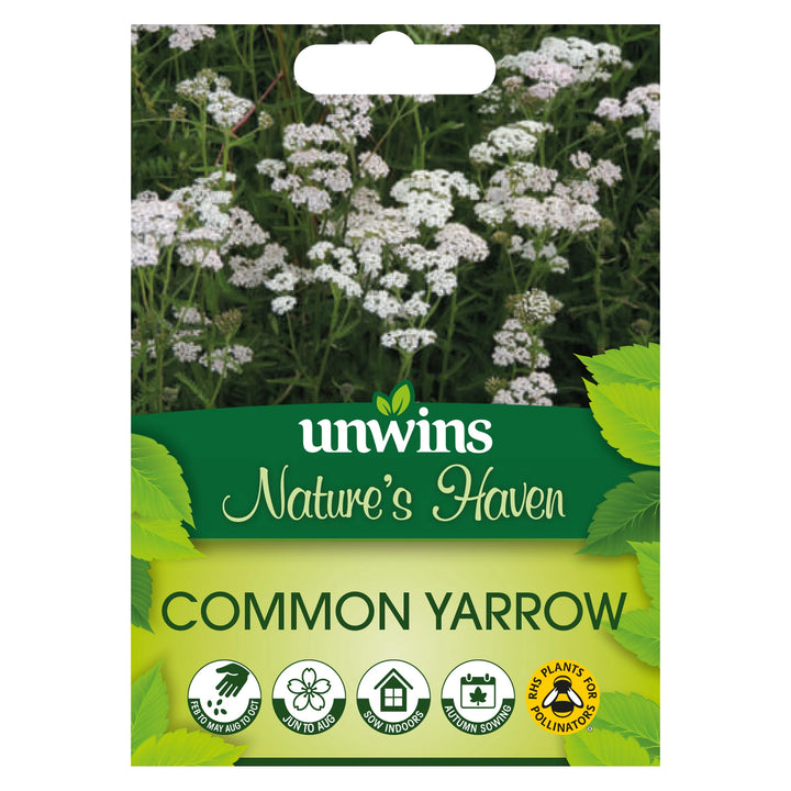 Nh Common Yarrowflower - New 2023 - Seed Packets - Windyridge Garden Centre