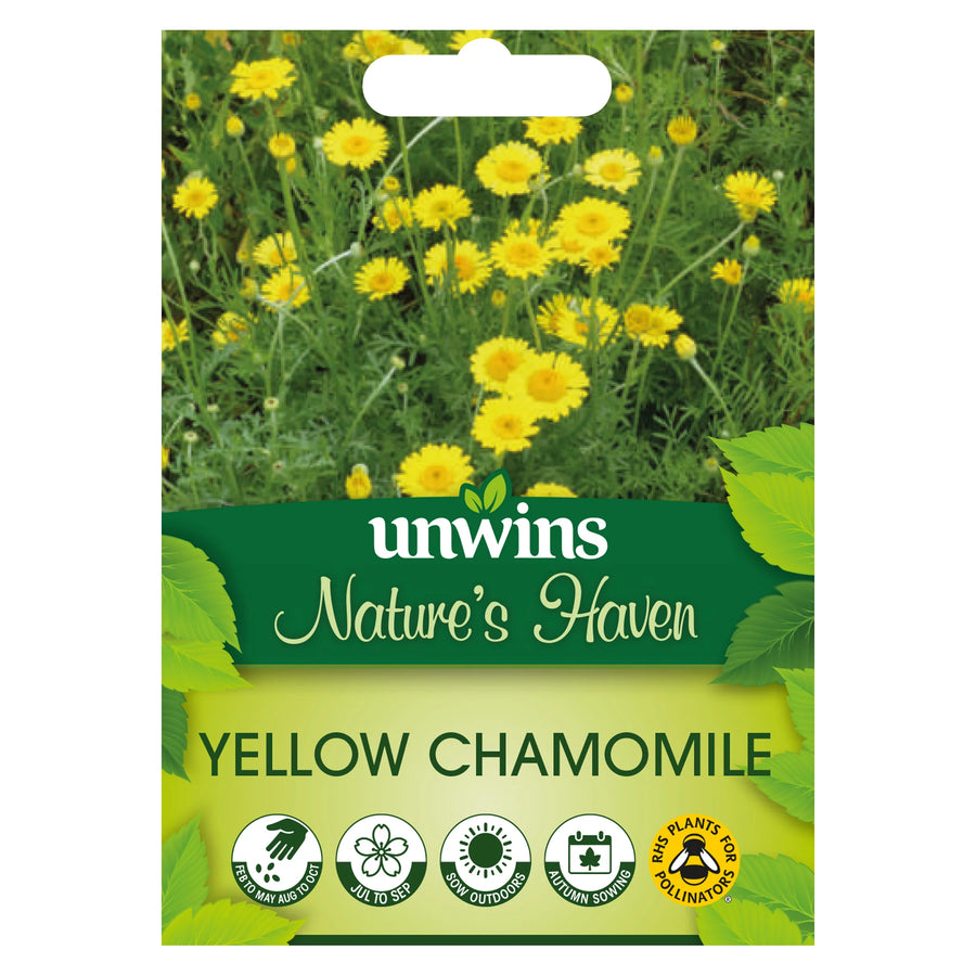 Nh Yellow Chamomileflower - New 2023 - Seed Packets - Windyridge Garden Centre