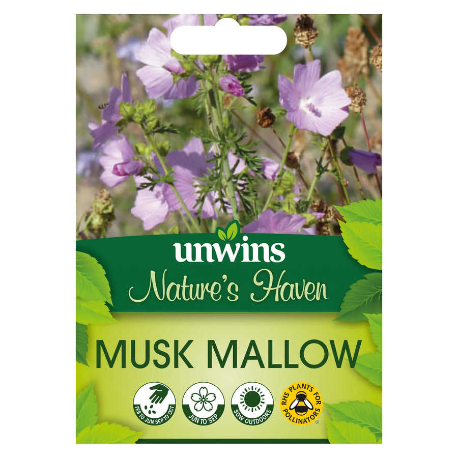 Nh Musk Mallowflower - New 2023 - Seed Packets - Windyridge Garden Centre