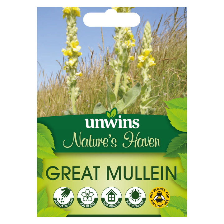 Nh Verbascumthap(Greatmullein)Flower - Seed Packets - Windyridge Garden Centre