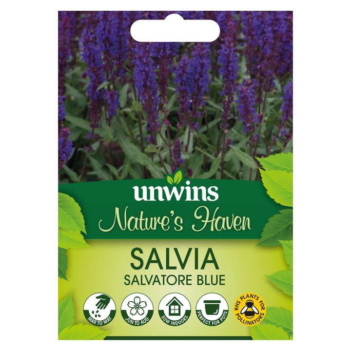 Nh Salvia Salvatore Blue - Seed Packets - Windyridge Garden Centre