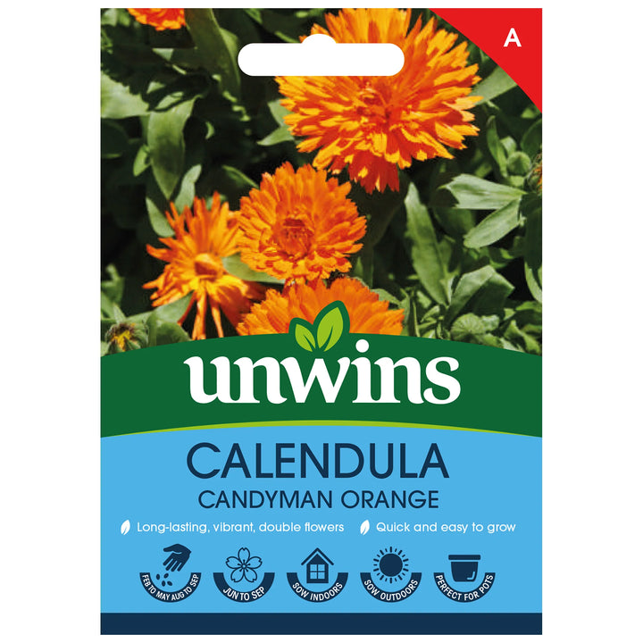 Calendula Candyman Orange - Seed Packets - Windyridge Garden Centre