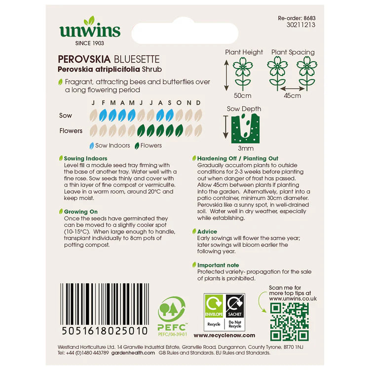 Perovskia Bluesetteflower - Seed Packets - Windyridge Garden Centre