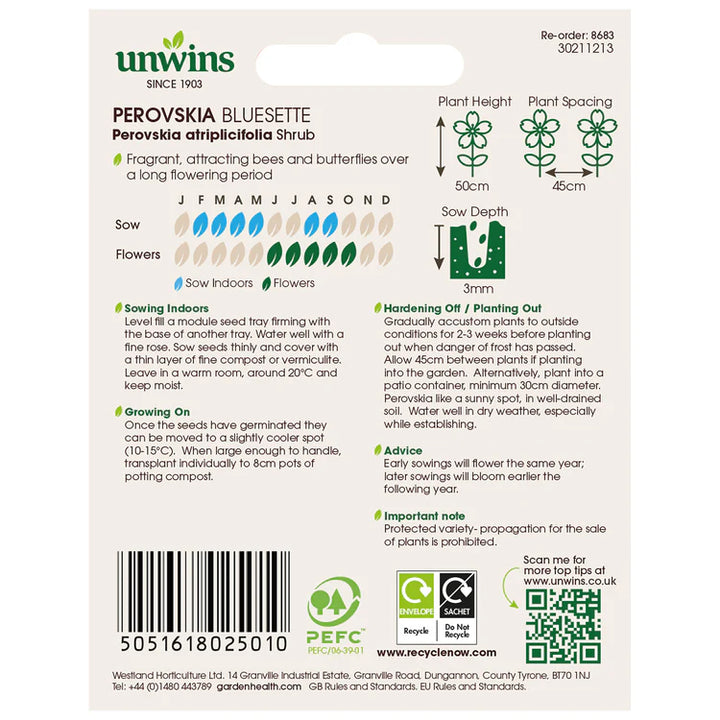 Perovskia Bluesetteflower - Seed Packets - Windyridge Garden Centre