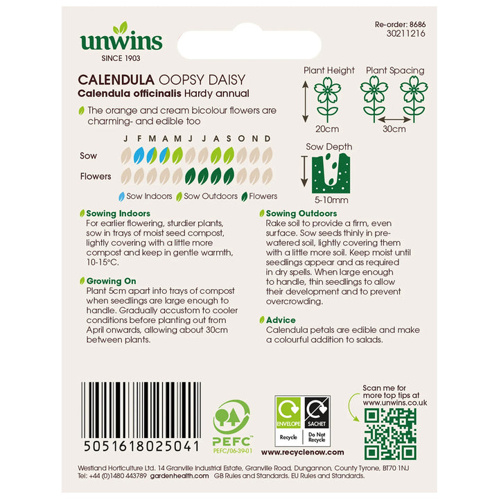 Calendula Oopsy Daisyflower - Seed Packets - Windyridge Garden Centre