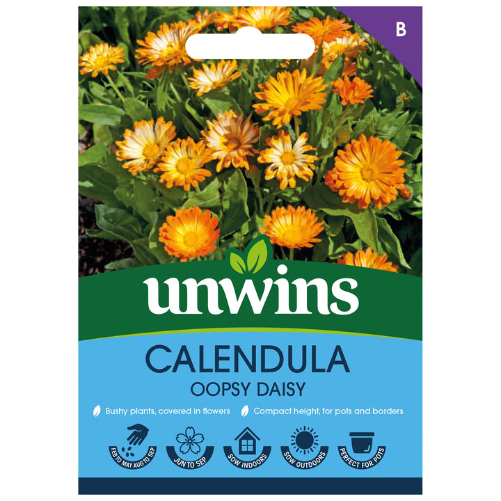Calendula Oopsy Daisyflower - Seed Packets - Windyridge Garden Centre