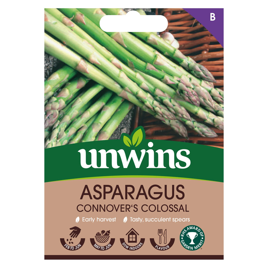 Asparagus Connover S Colossal - Seed Packets - Windyridge Garden Centre