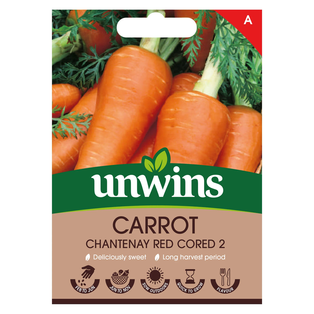 Carrot Chantenay Red Cored 2 - Seed Packets - Windyridge Garden Centre