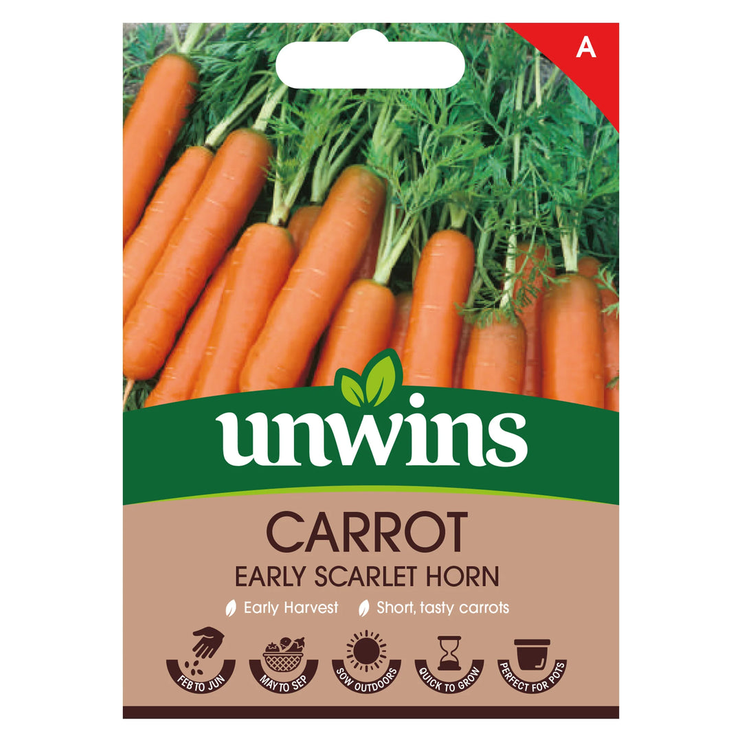 Carrot Early Scarlet Horn - Seed Packets - Windyridge Garden Centre