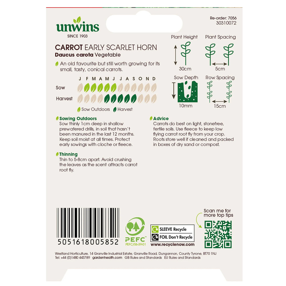 Carrot Early Scarlet Horn - Seed Packets - Windyridge Garden Centre