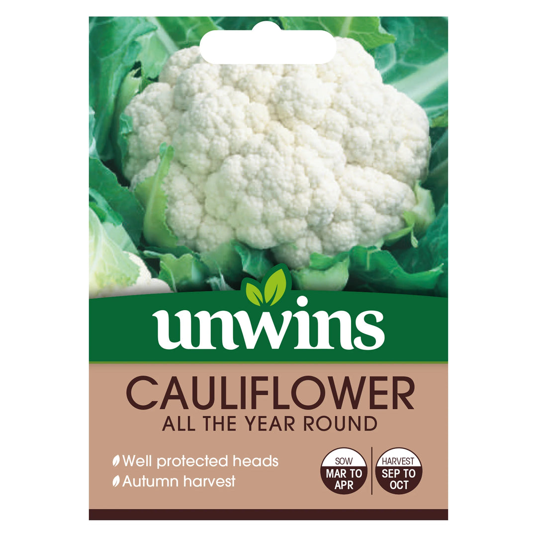 Cauliflower All The Year Round - Seed Packets - Windyridge Garden Centre