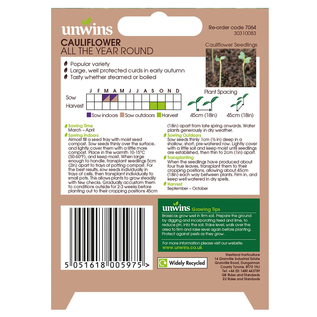 Cauliflower All The Year Round - Seed Packets - Windyridge Garden Centre