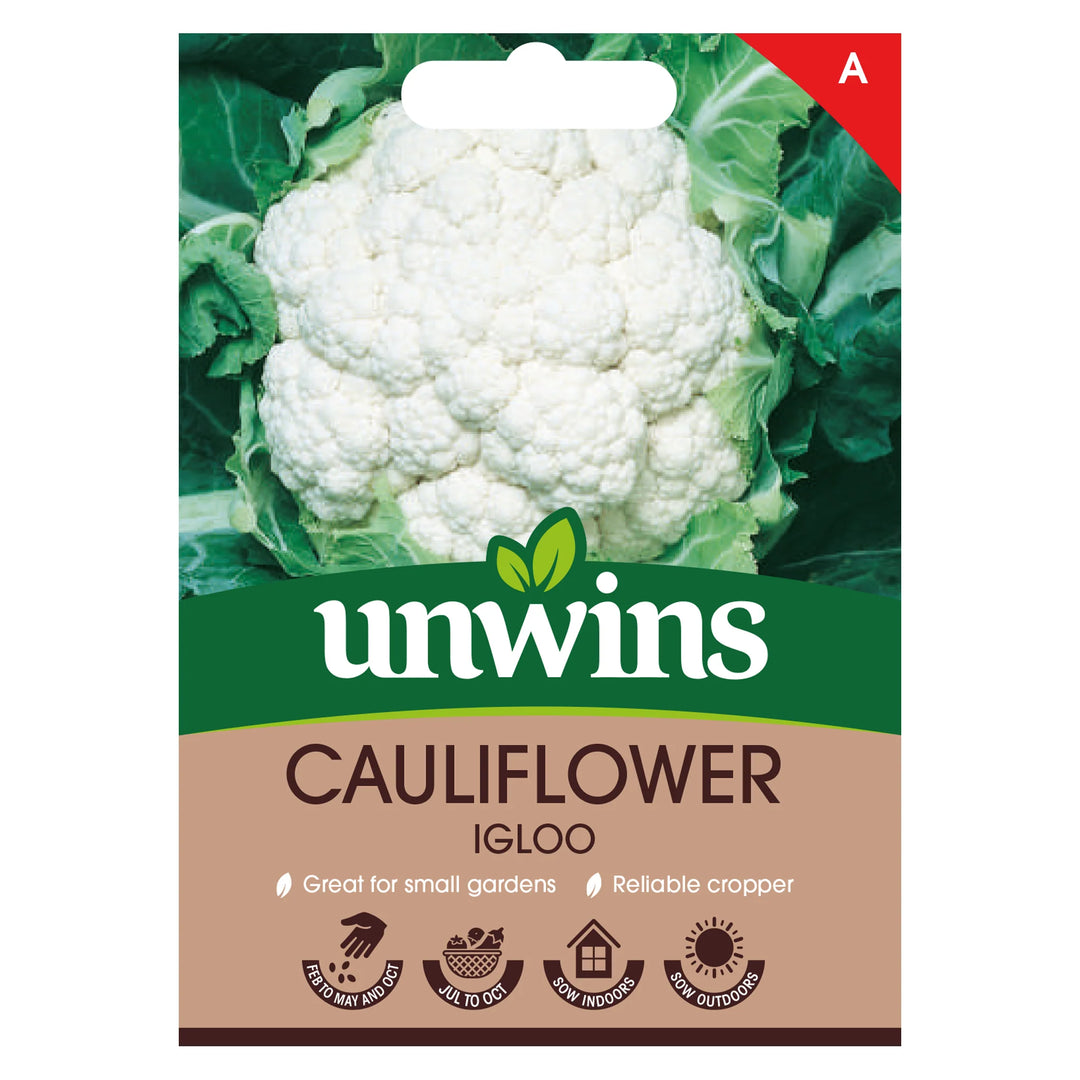 Cauliflower Igloo - Seed Packets - Windyridge Garden Centre