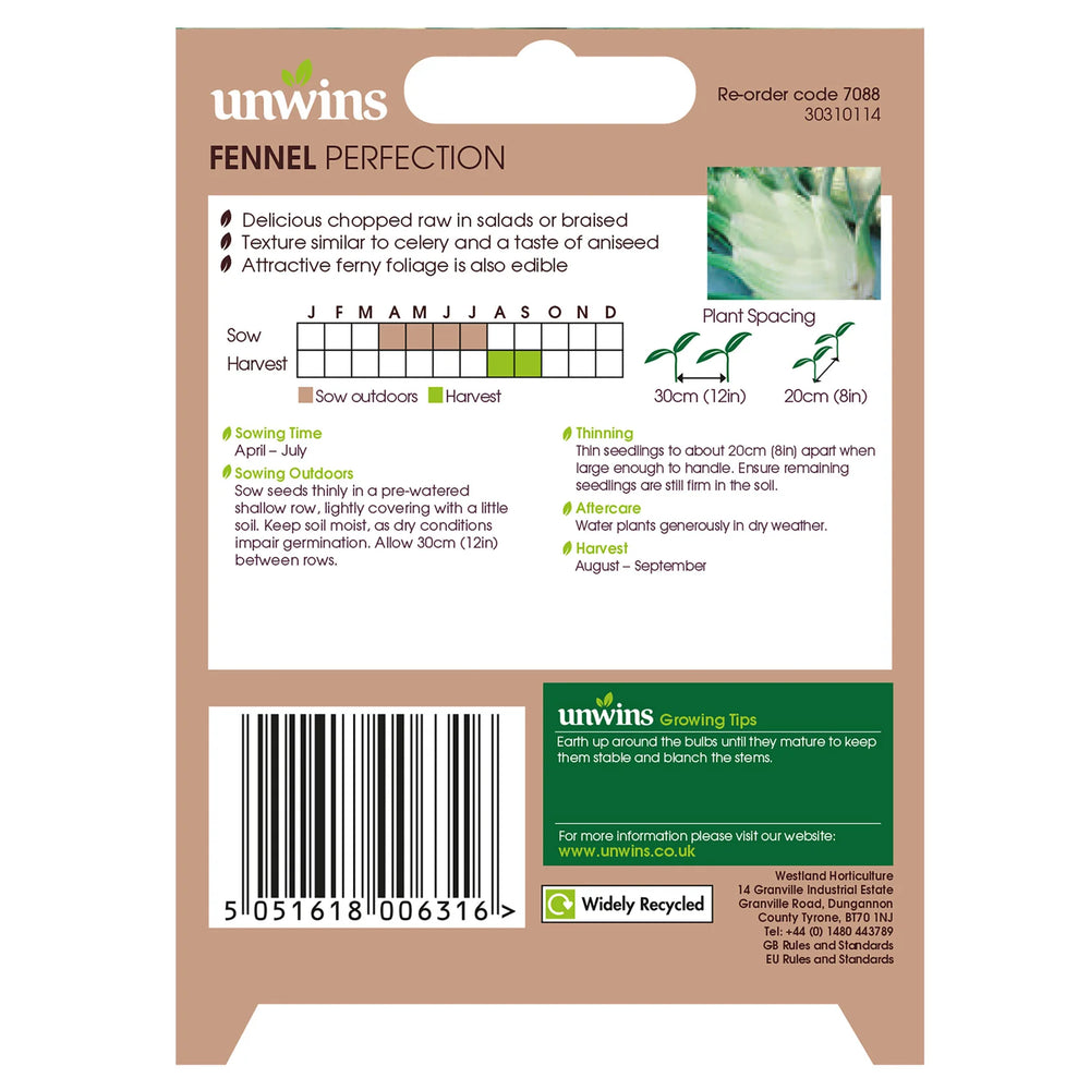 Fennel Perfection - Seed Packets - Windyridge Garden Centre
