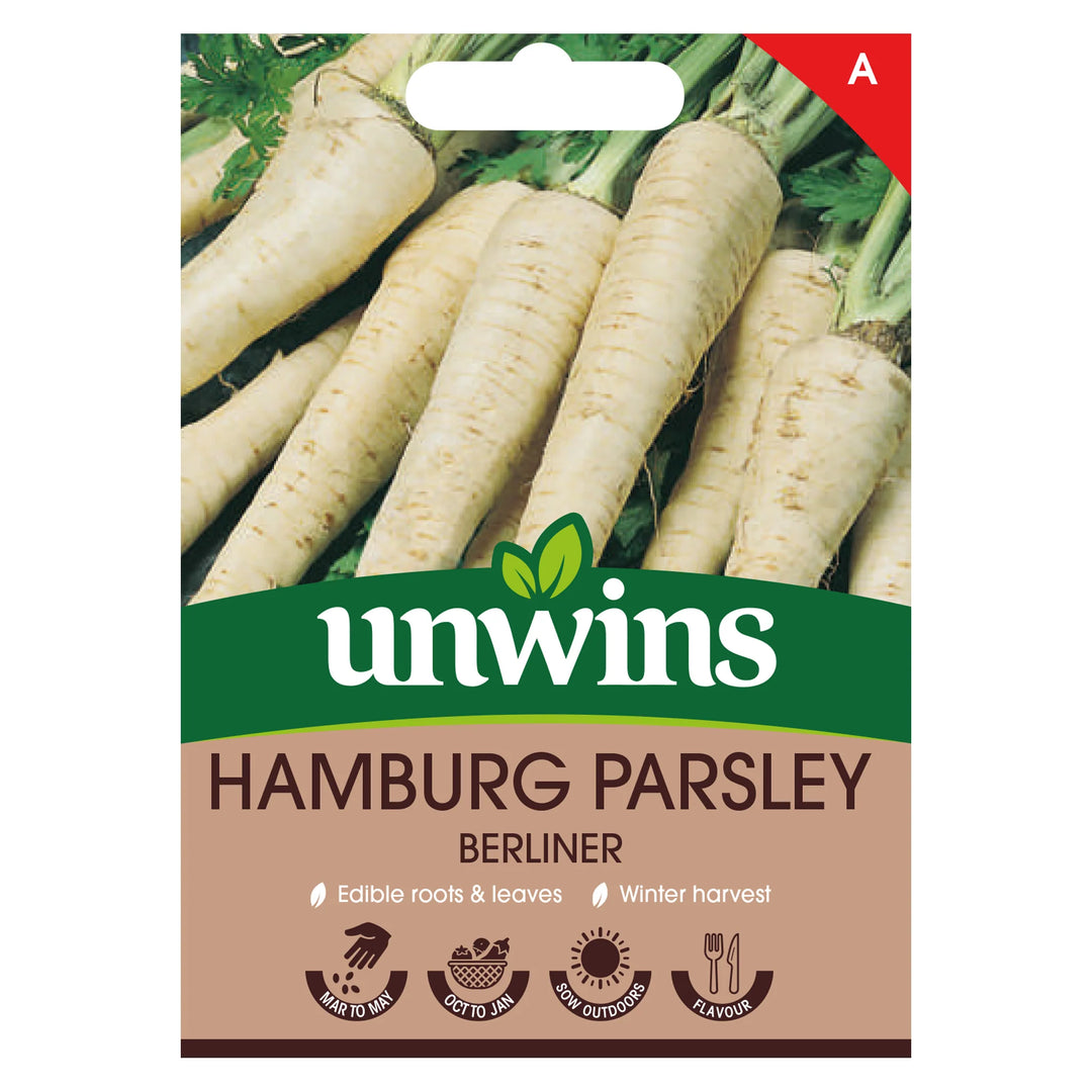 Hamburg Parsley Berliner - Seeds - Windyridge Garden Centre