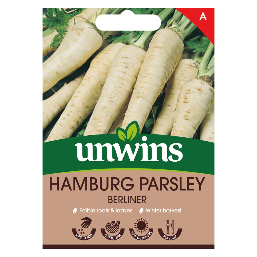 Hamburg Parsley Berliner - Seeds - Windyridge Garden Centre
