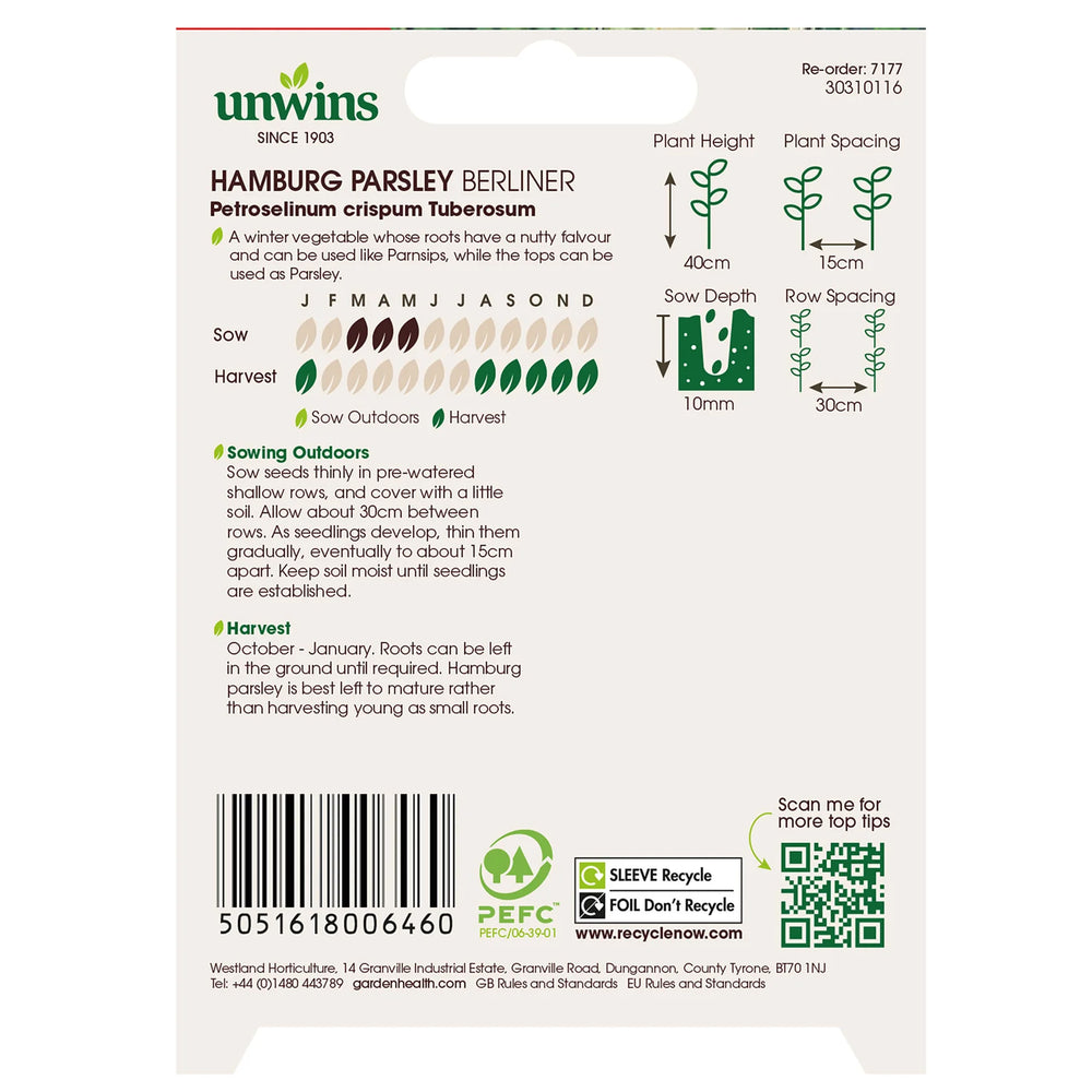 Hamburg Parsley Berliner - Seeds - Windyridge Garden Centre