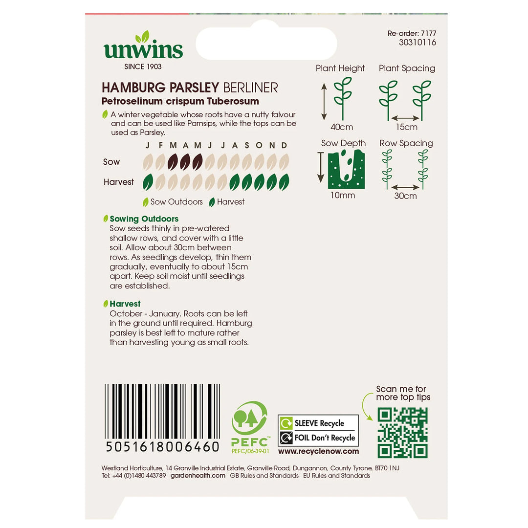 Hamburg Parsley Berliner - Seeds - Windyridge Garden Centre