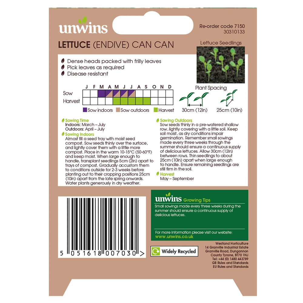Lettuce Can Can - Seed Packets - Windyridge Garden Centre