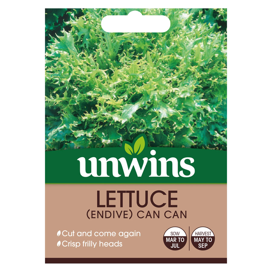 Lettuce Can Can - Seed Packets - Windyridge Garden Centre