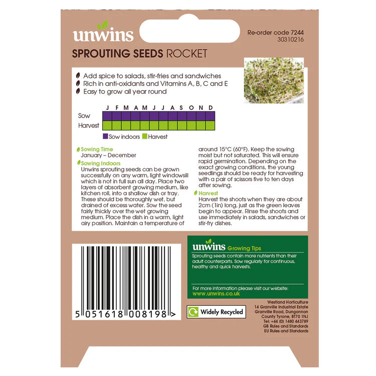 Sprouting Seeds Rocket - Seed Packets - Windyridge Garden Centre