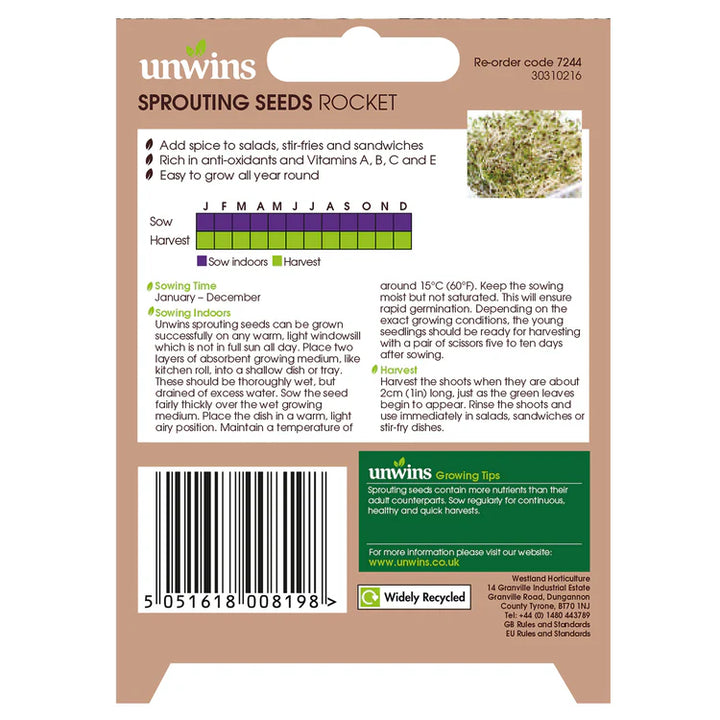Sprouting Seeds Rocket - Seed Packets - Windyridge Garden Centre